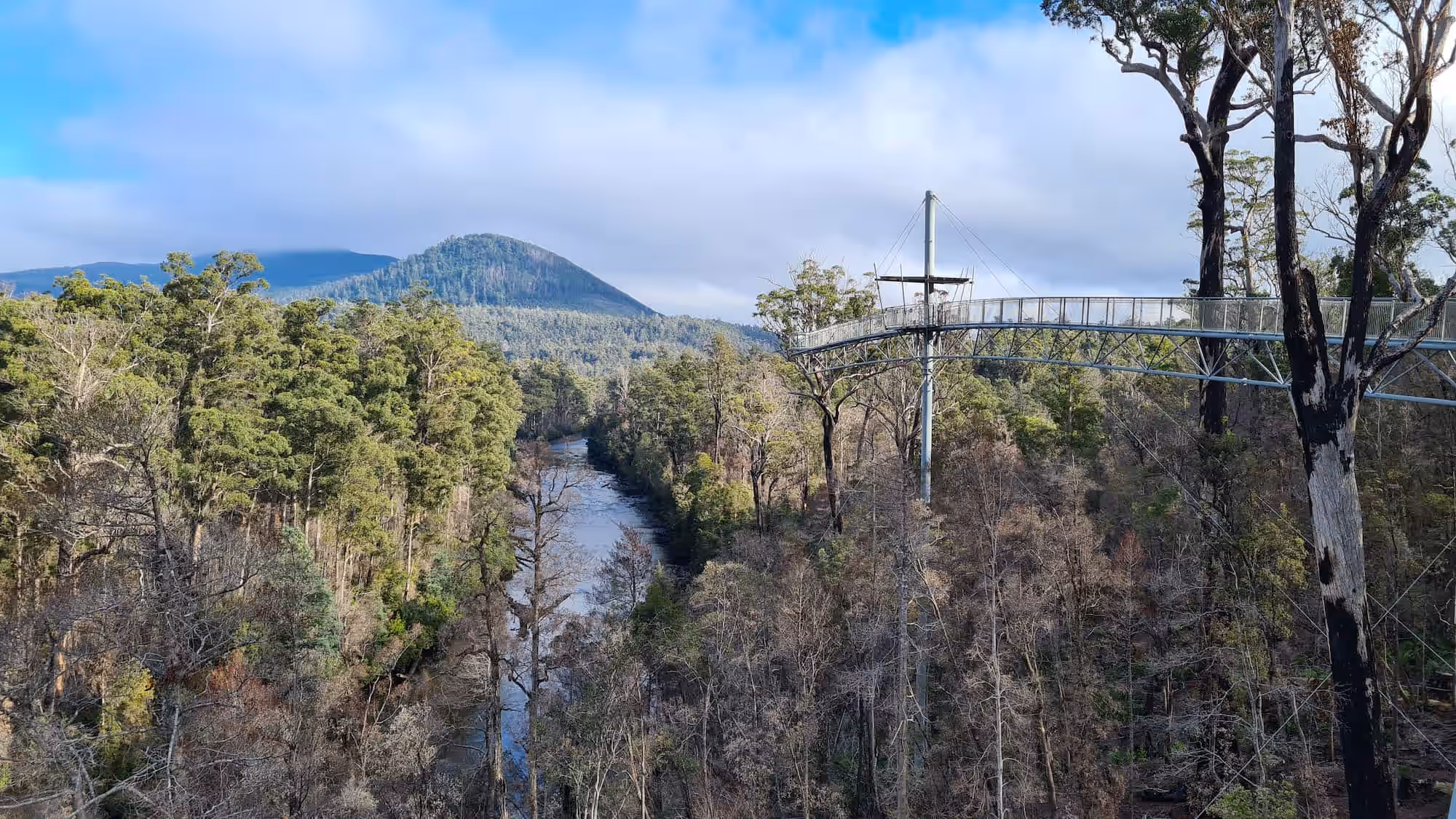 Tahune Airwalk Photo 1