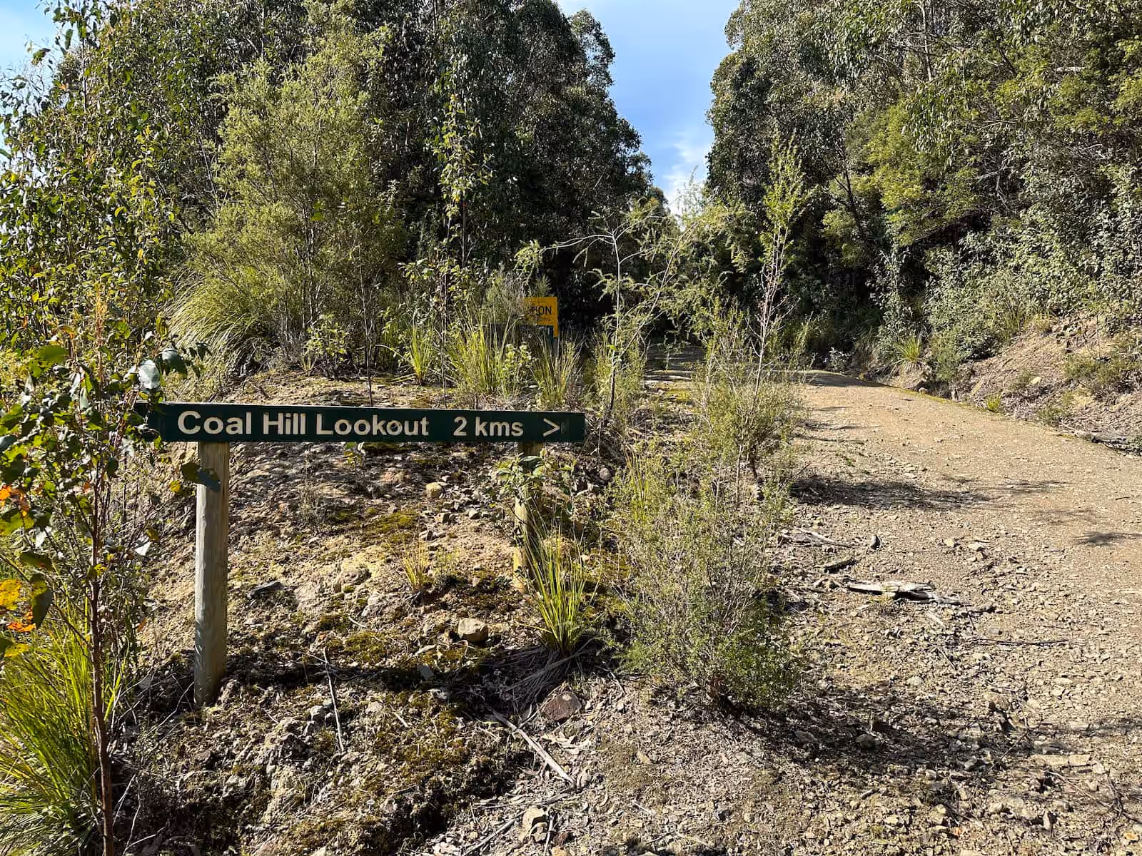 Coal Hill Lookout Photo 1