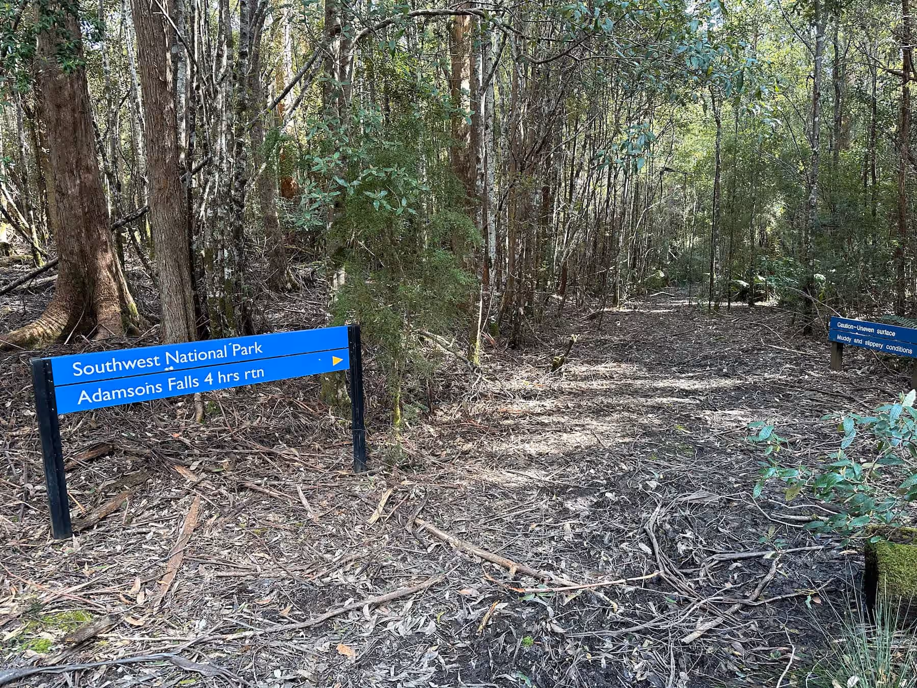 Adamsons Falls Photo 1