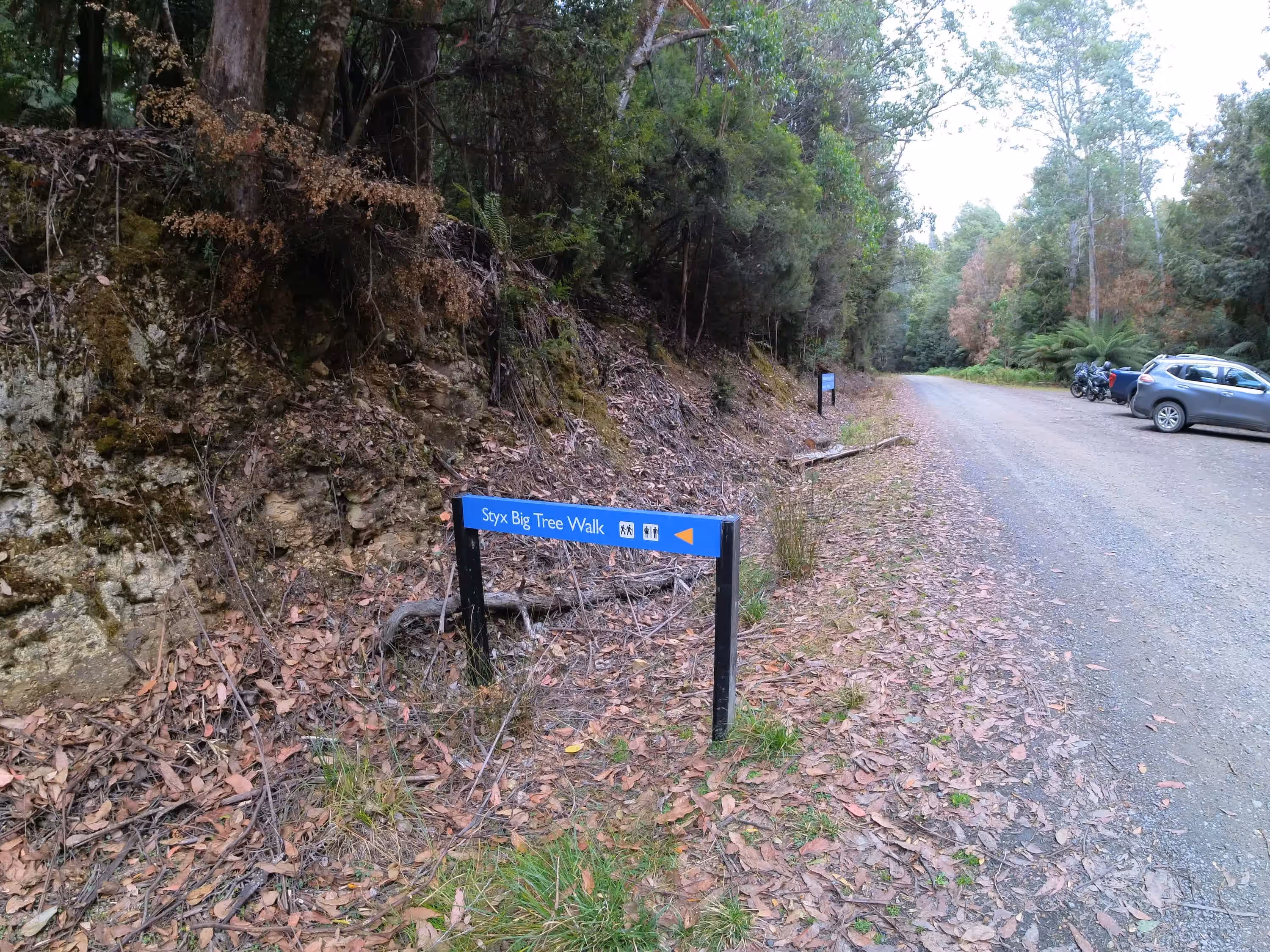 Styx Tall Trees Conservation Area Photo 1