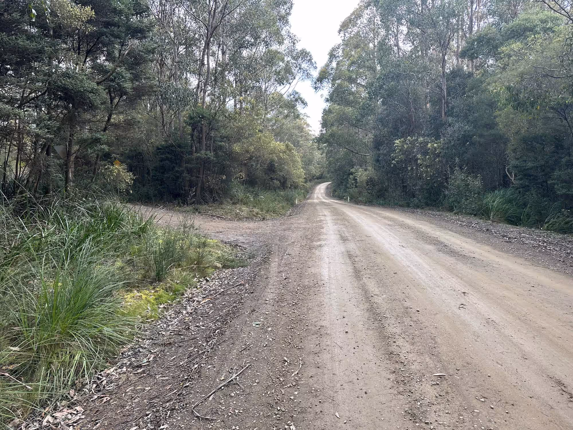 Southport Lagoon Camping Photo 1