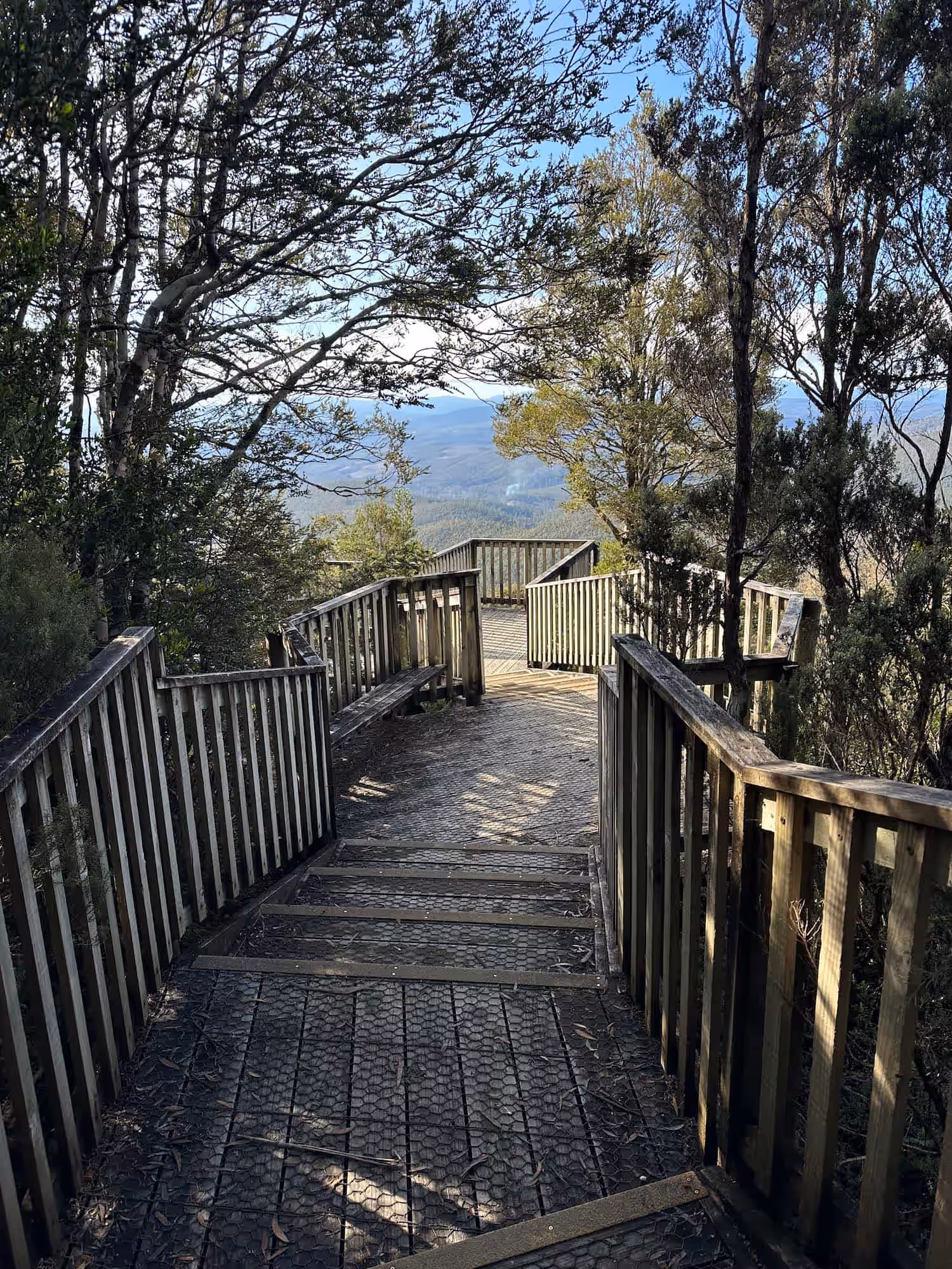 Waratah Lookout Photo 1