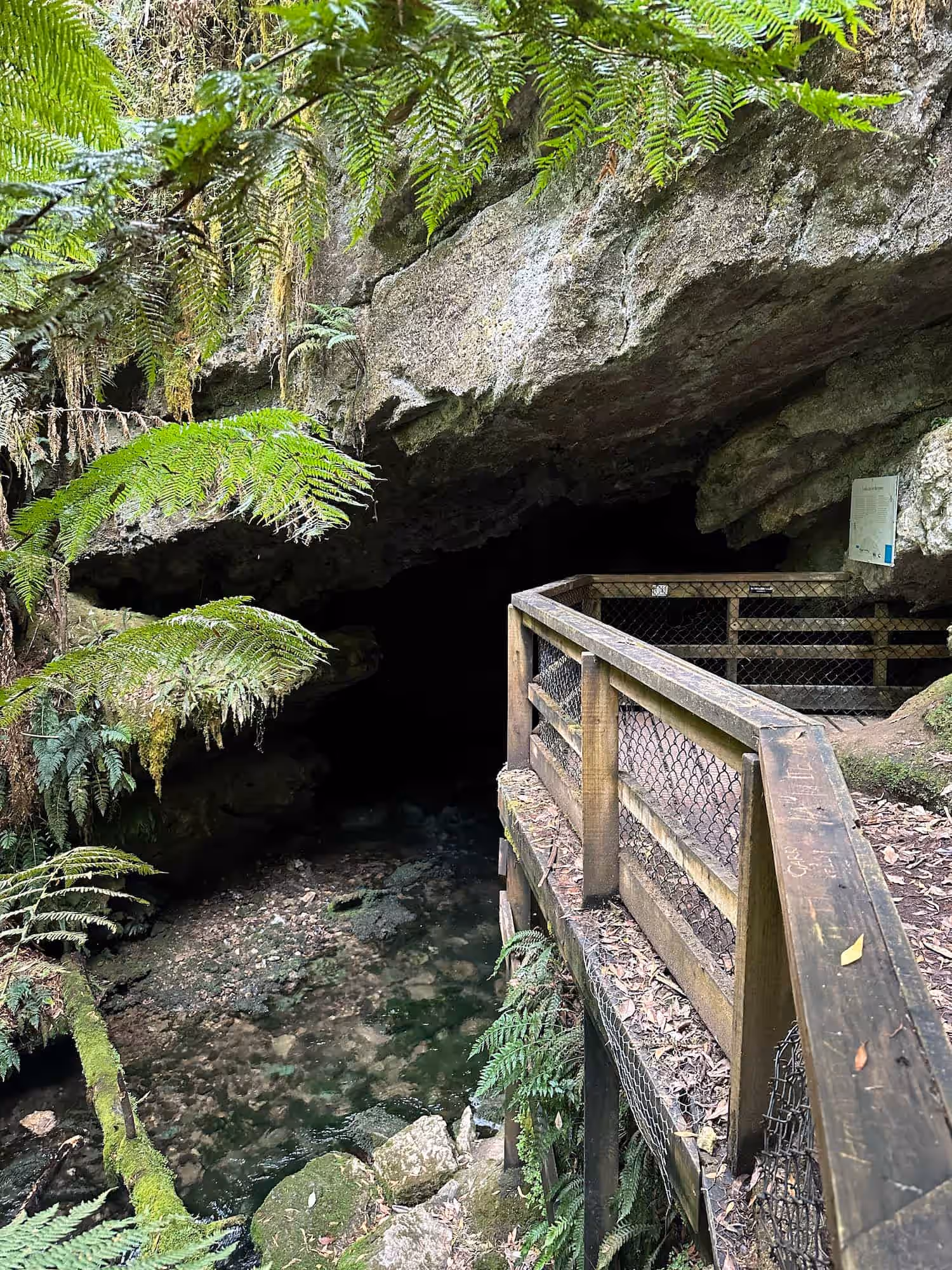 Junee Caves Maydena Photo 1
